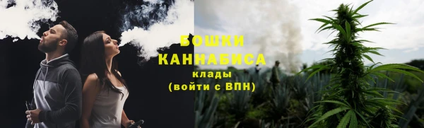не бодяженный Гусев
