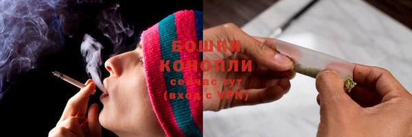 не бодяженный Гусев