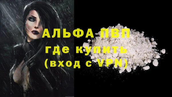 стафф Гусиноозёрск