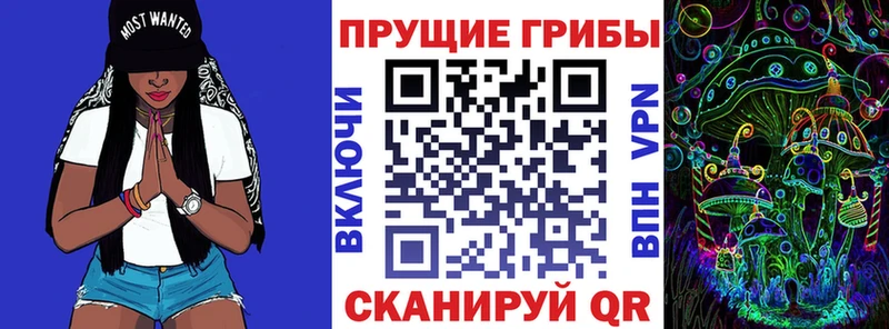 Купить закладки  Питкяранта  Галлюциногенные грибы Psilocybe 